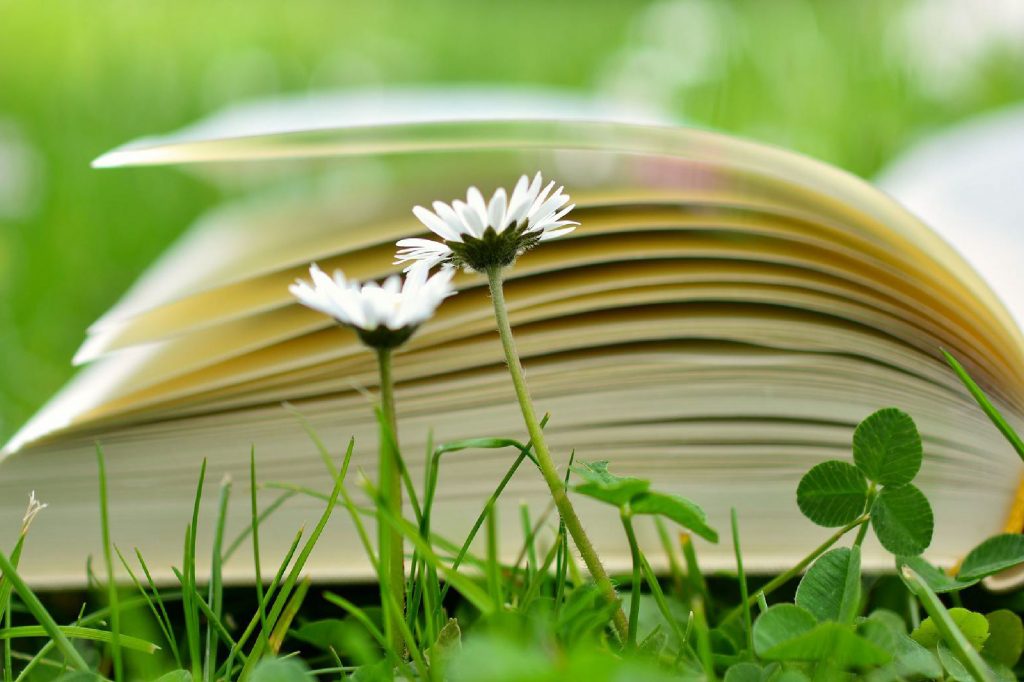 libro con margaritas